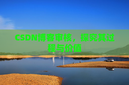 CSDN博客审核，探究其过程与价值