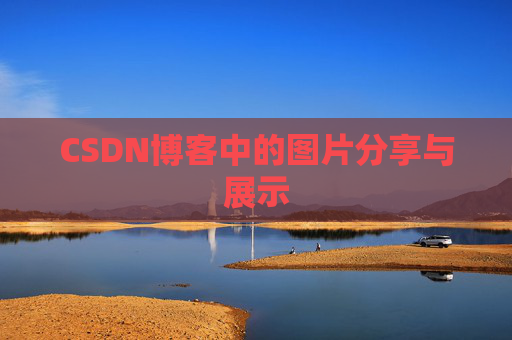 CSDN博客中的图片分享与展示